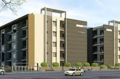 The Top 2020 Handbag Trends to Know