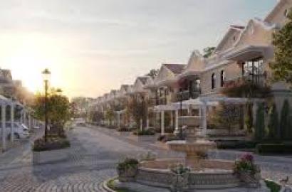 Top Search Engine Optimization Strategies!