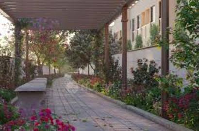 Imagine Losing 20 Pounds In 14 Days!