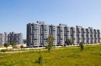 Understanding the Current Real Estate Market Trends