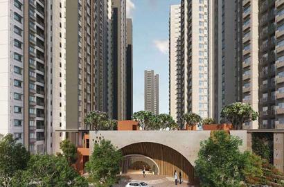 Prestige Pine Forest