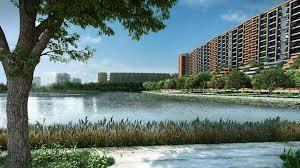 Pursuit of a Radical Rhapsody