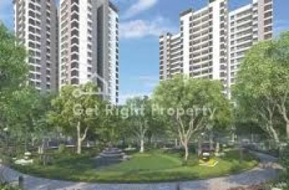 Alembic Urban Forest