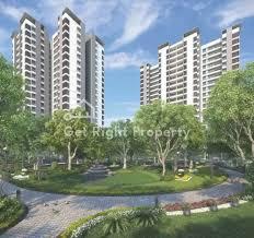 Alembic Urban Forest